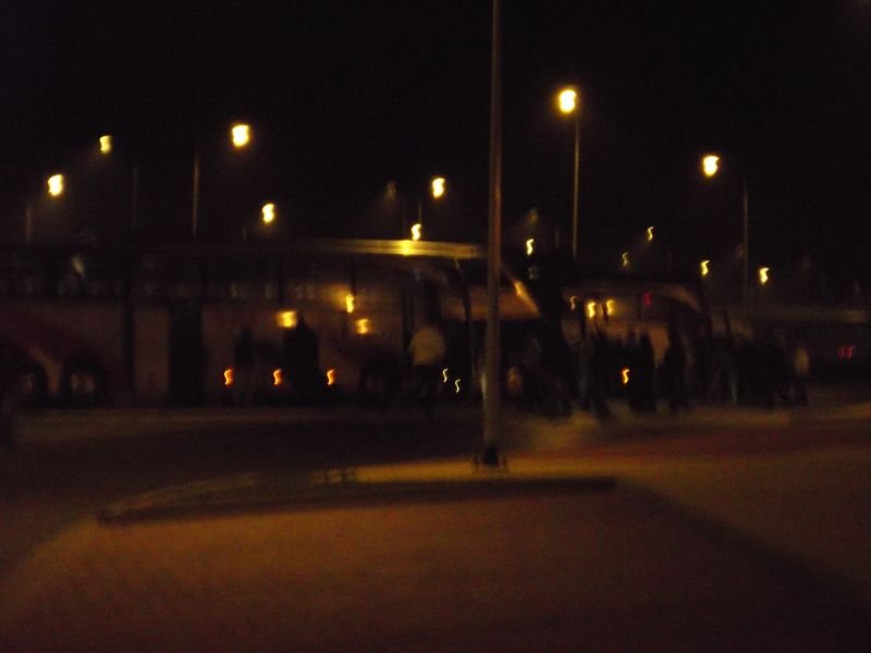 liga-pogonsz-2013